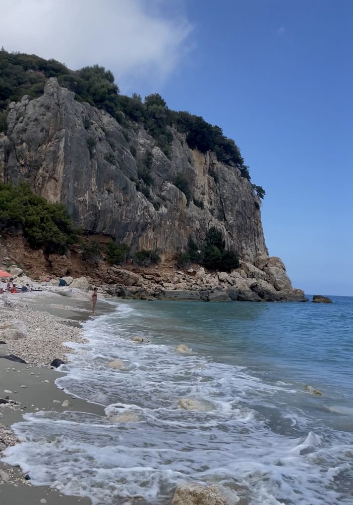 aleksandra-bronny-dupe