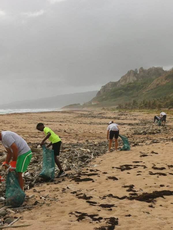 brian-yurasits-PzQNdXw2a6g-unsplash