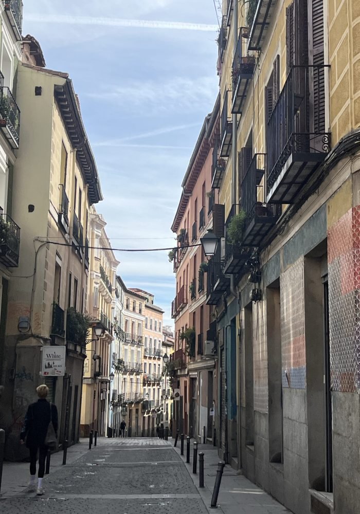 maggie-swanborn-dupe (1)